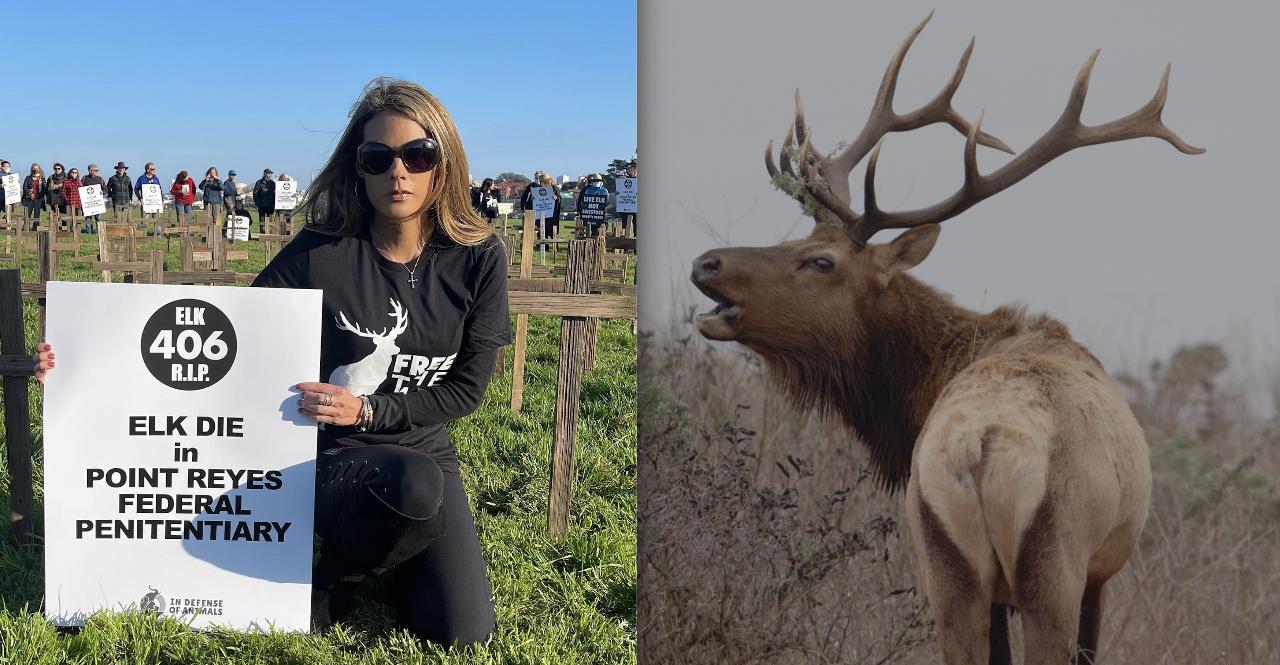 NFL/NBA Celeb Bonnie-Jill Laflin Dunks on Cattle Ranchers at Protest to Save Point Reyes Tule Elk