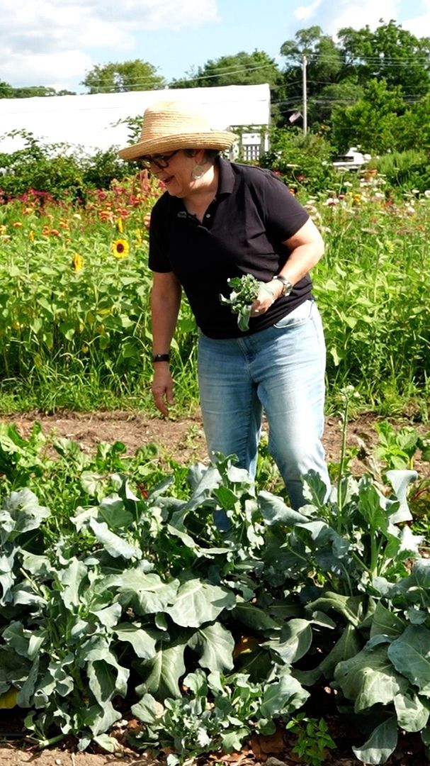 What Happened To John Bolz White Collar? Shocking Truth Revealed!