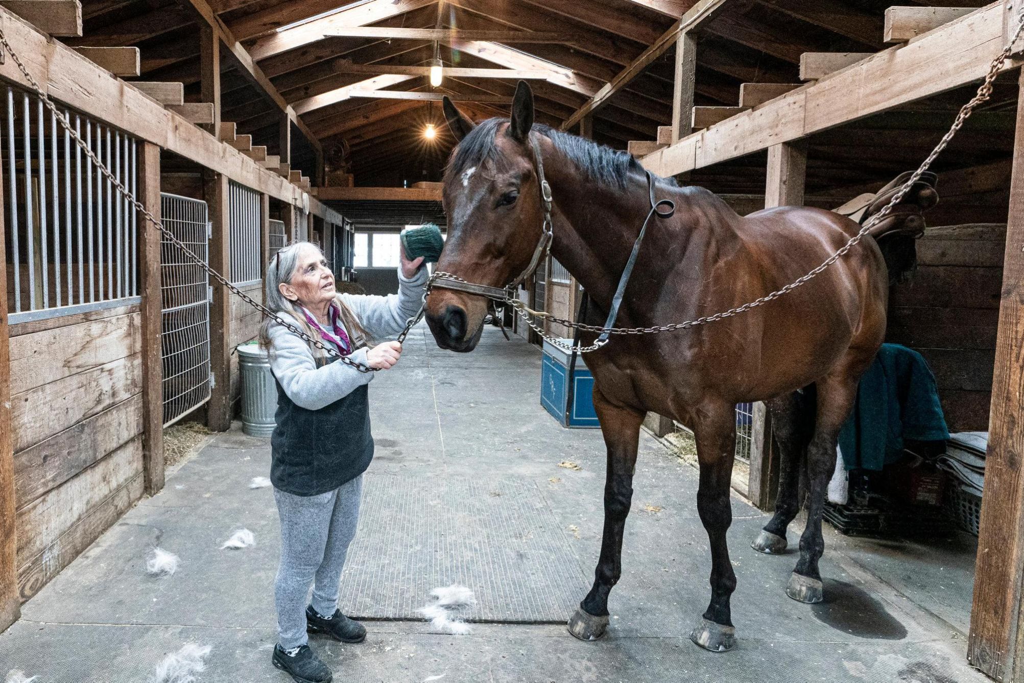 Horse Stables And Barns Struggle To Stay Afloat Care For Animals Amid Covid 19 Newsday,How Long To Cook Chicken Breast In Crock Pot