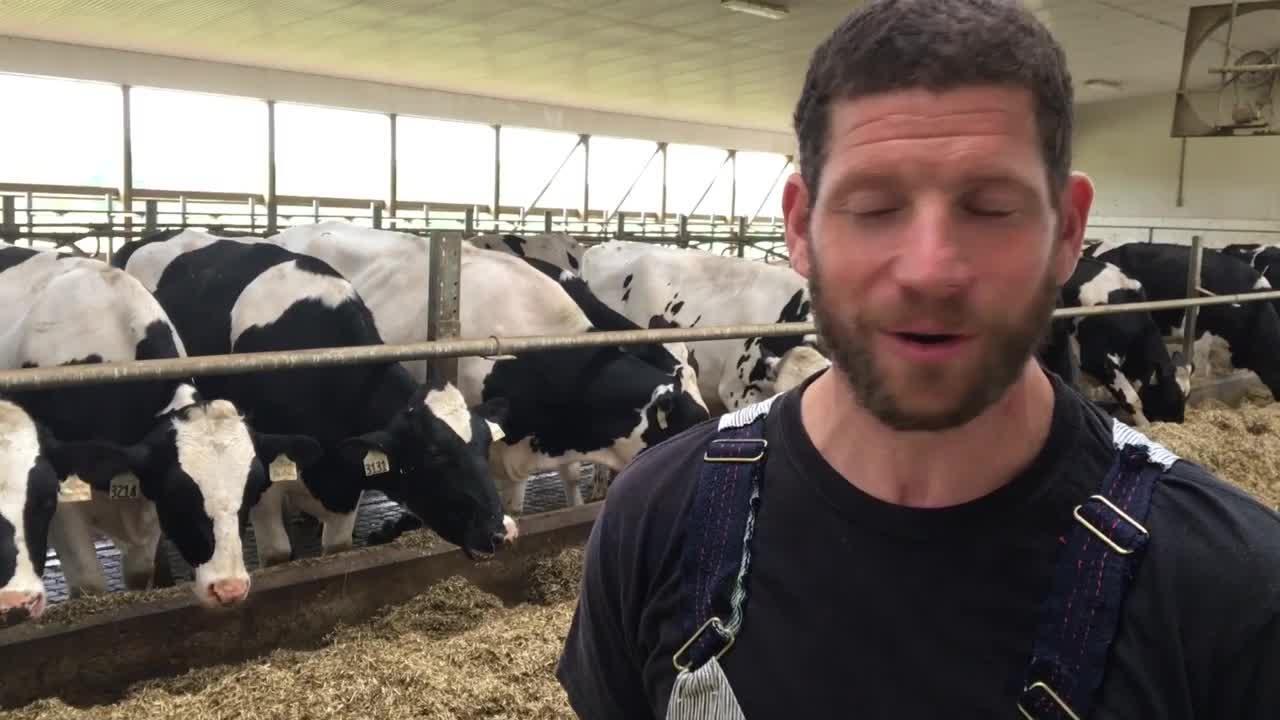 VIDEO: Success is in the details, says dairy farmer | The Western Producer