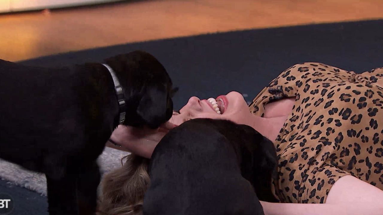 We just did puppy yoga on LIVE television