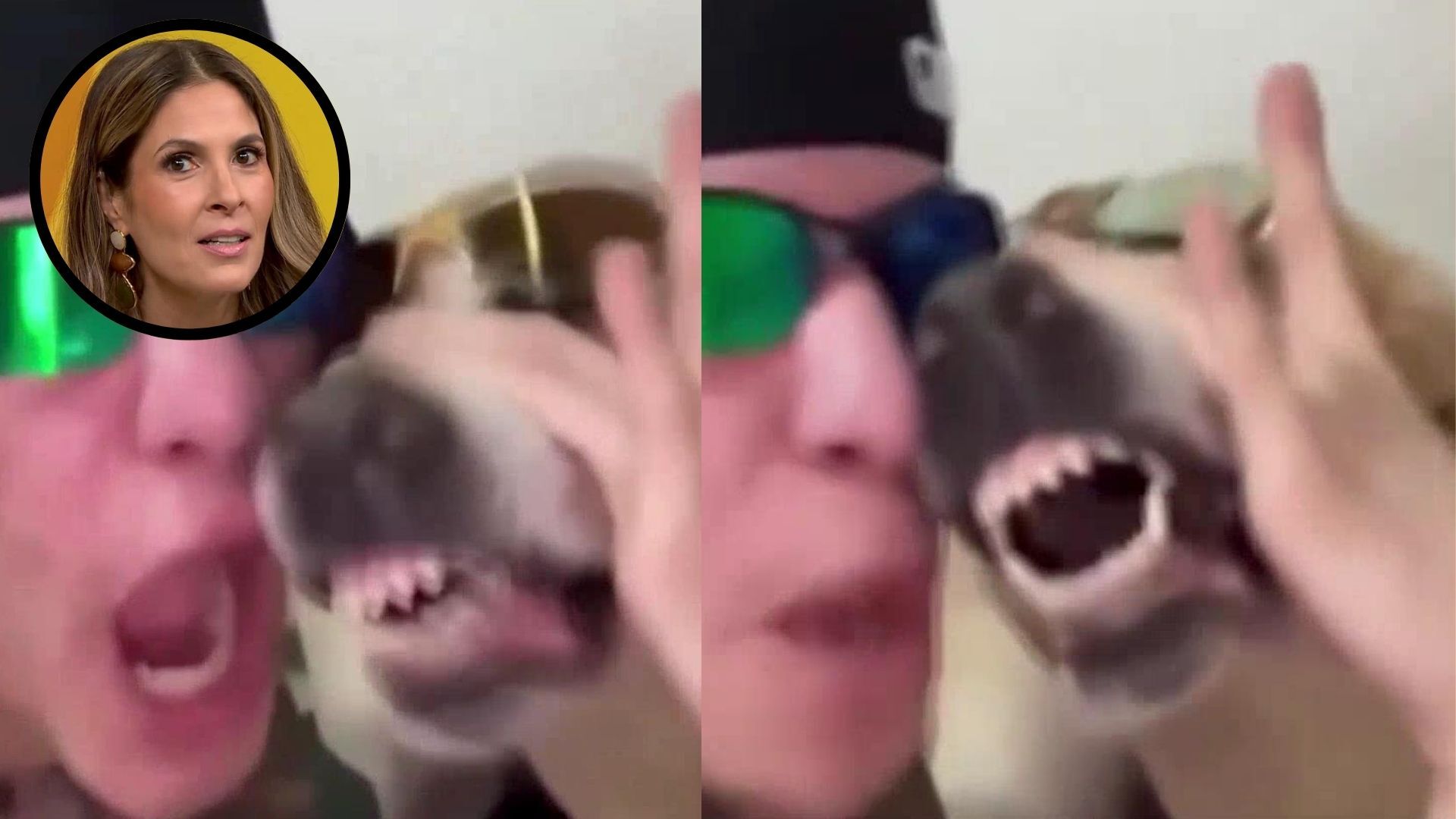 WATCH: Is this dog really beatboxing?