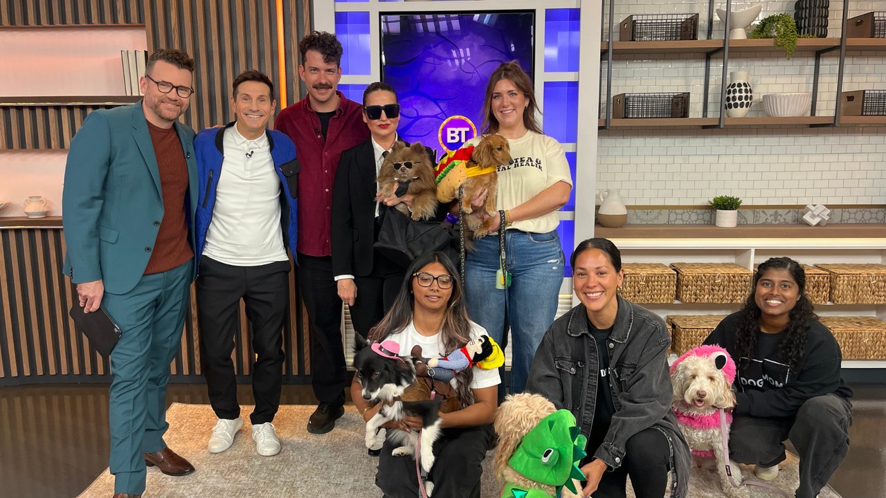 A paws-itively cute pup fashion show