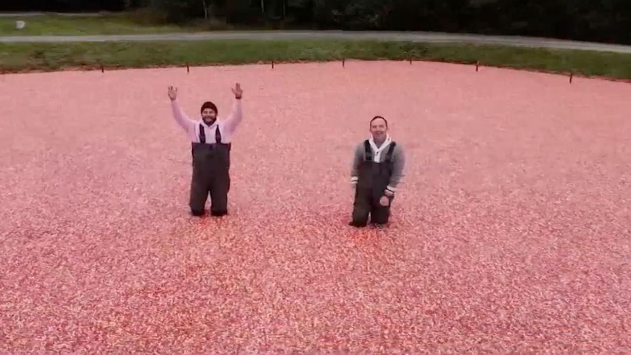 Devo and Frankie experience the Bala Cranberry Festival