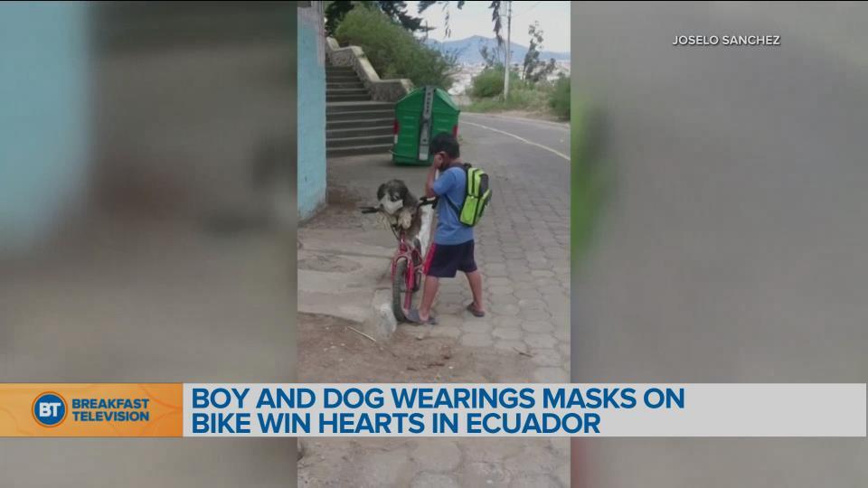 BT Bright Spot: Boy and Dog win hearts