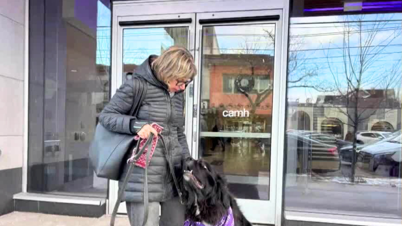 This adorable pooch is spreading love at Toronto's CAMH hospital