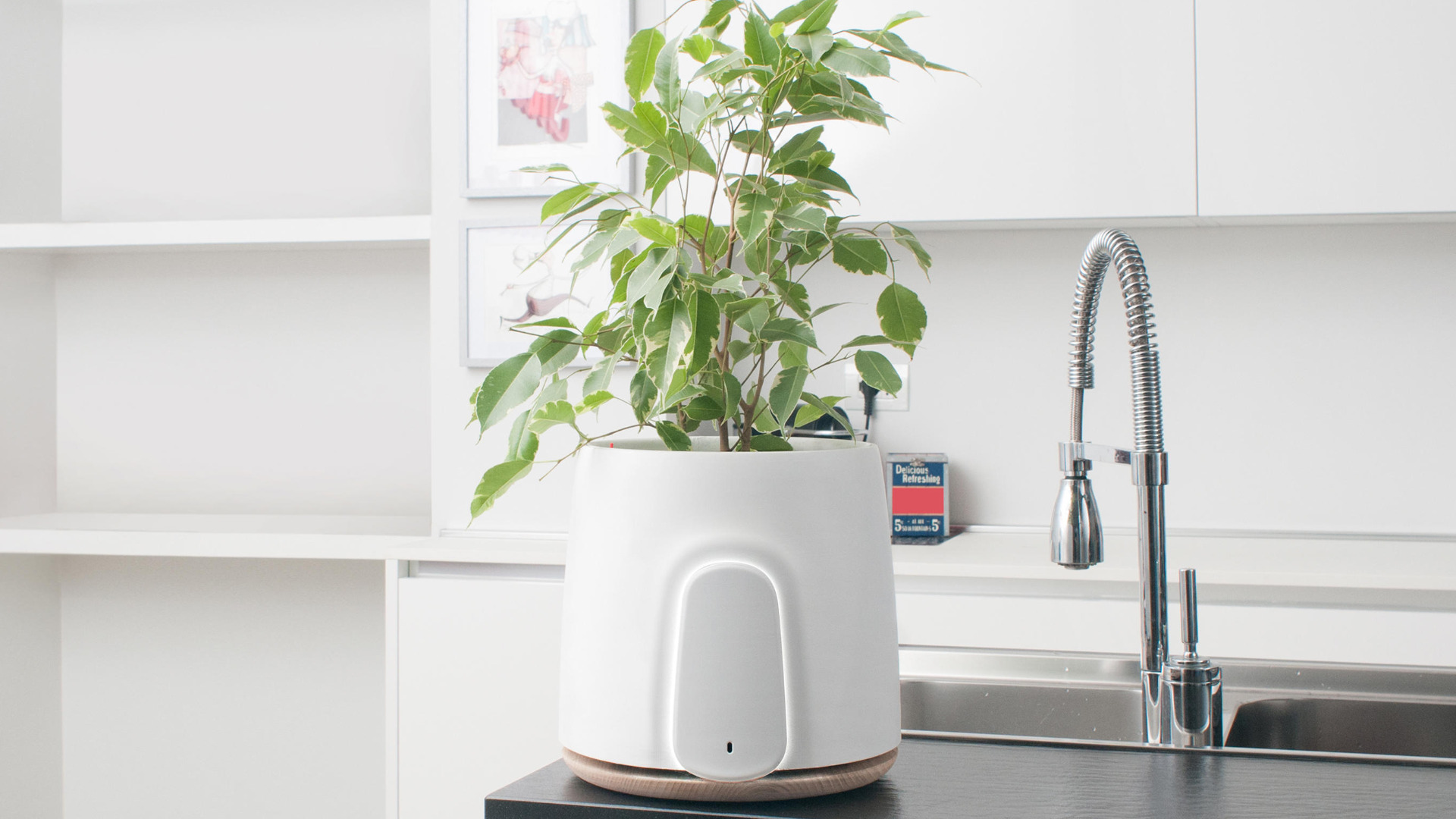 Smart purifier