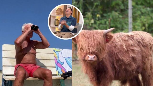WATCH: The Toronto Zoo welcomes some adorable Highland residents