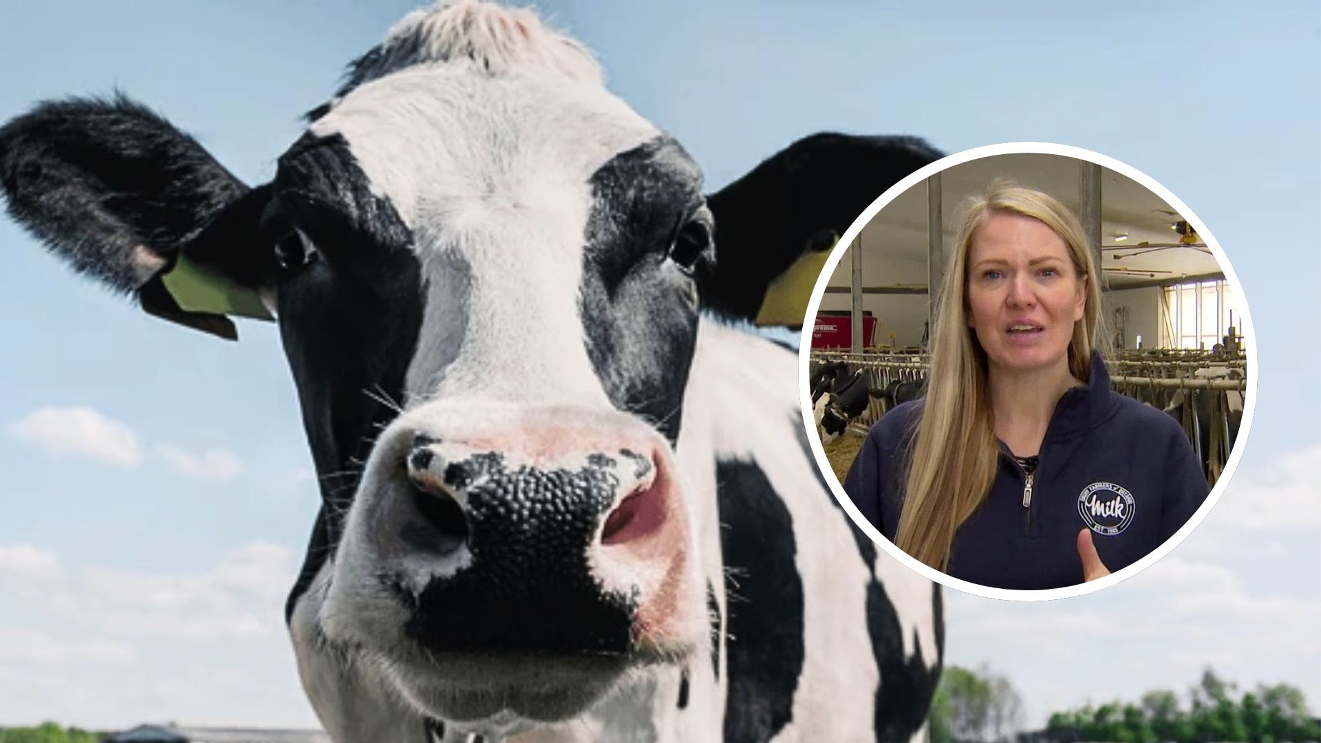 Learn more about your local Ontario Dairy Farmers this spring