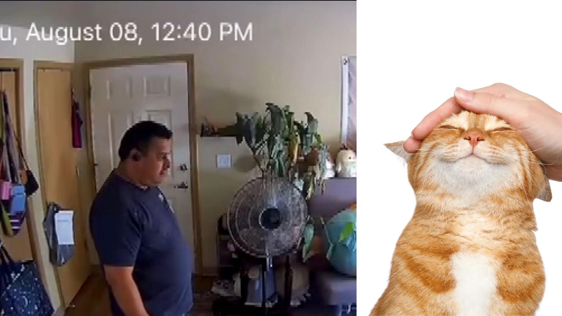 This maintenance worker was caught on camera having a full conversation with a customer's cat