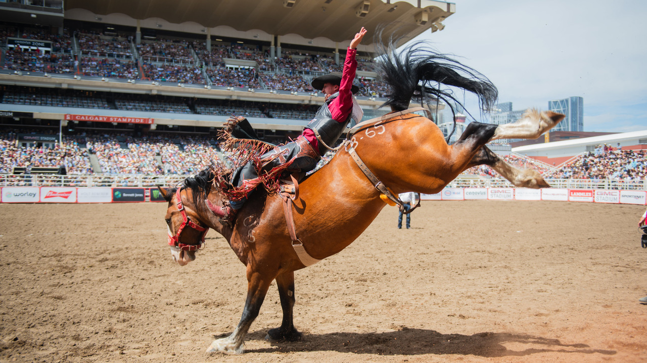 An exciting look at this year's Calgary Stampede