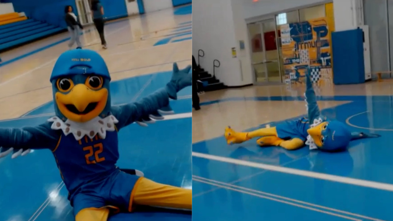 TMU's Frankie the Falcon just made an epic half-court shot
