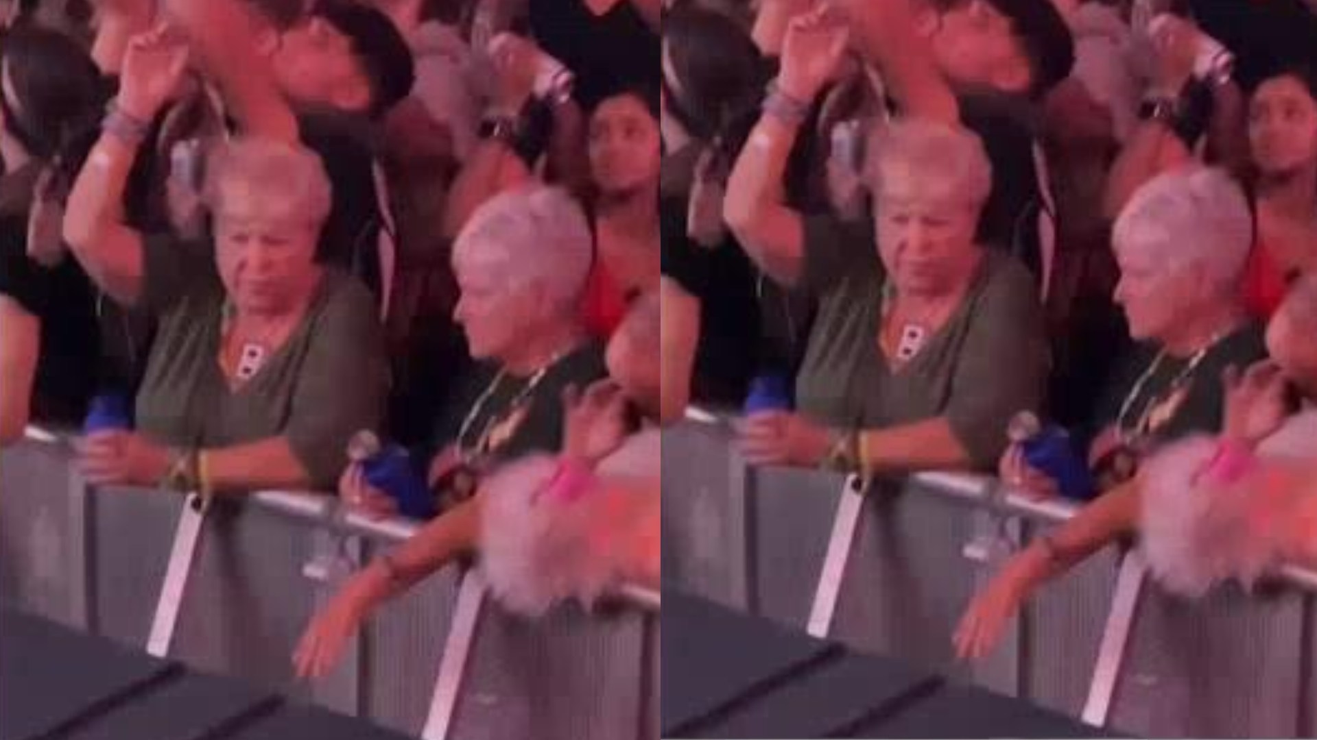 Two elderly women go to a David Guetta concert... and go viral