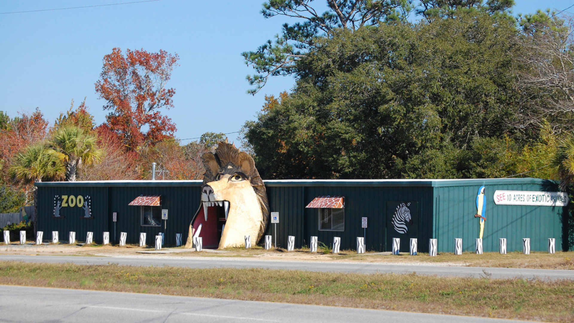 What you should (actually) know about zoos before visiting one