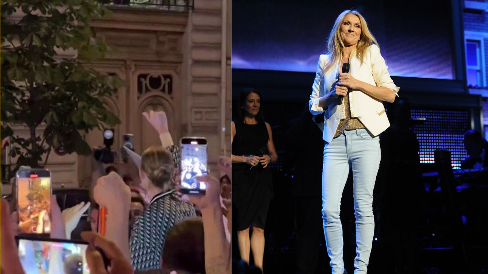 Celine Dion went on the roof of a vehicle to see her Paris fans