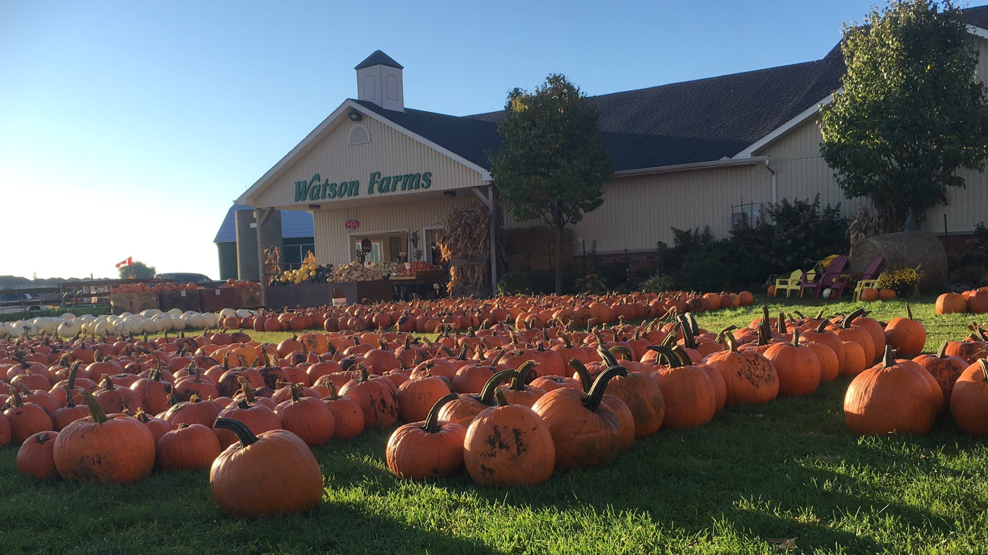 A roundup of Ontario family farms you have to visit this fall