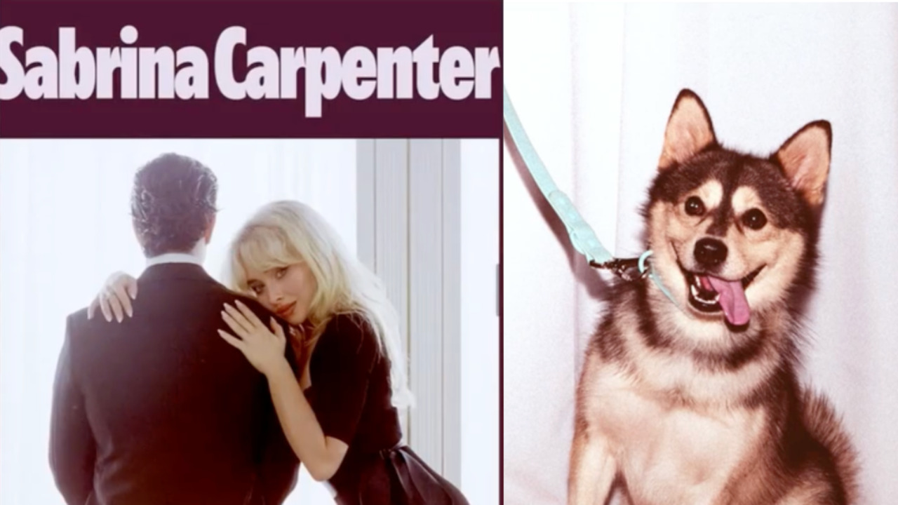 This humane society's campaign just caught the attention of Sabrina Carpenter
