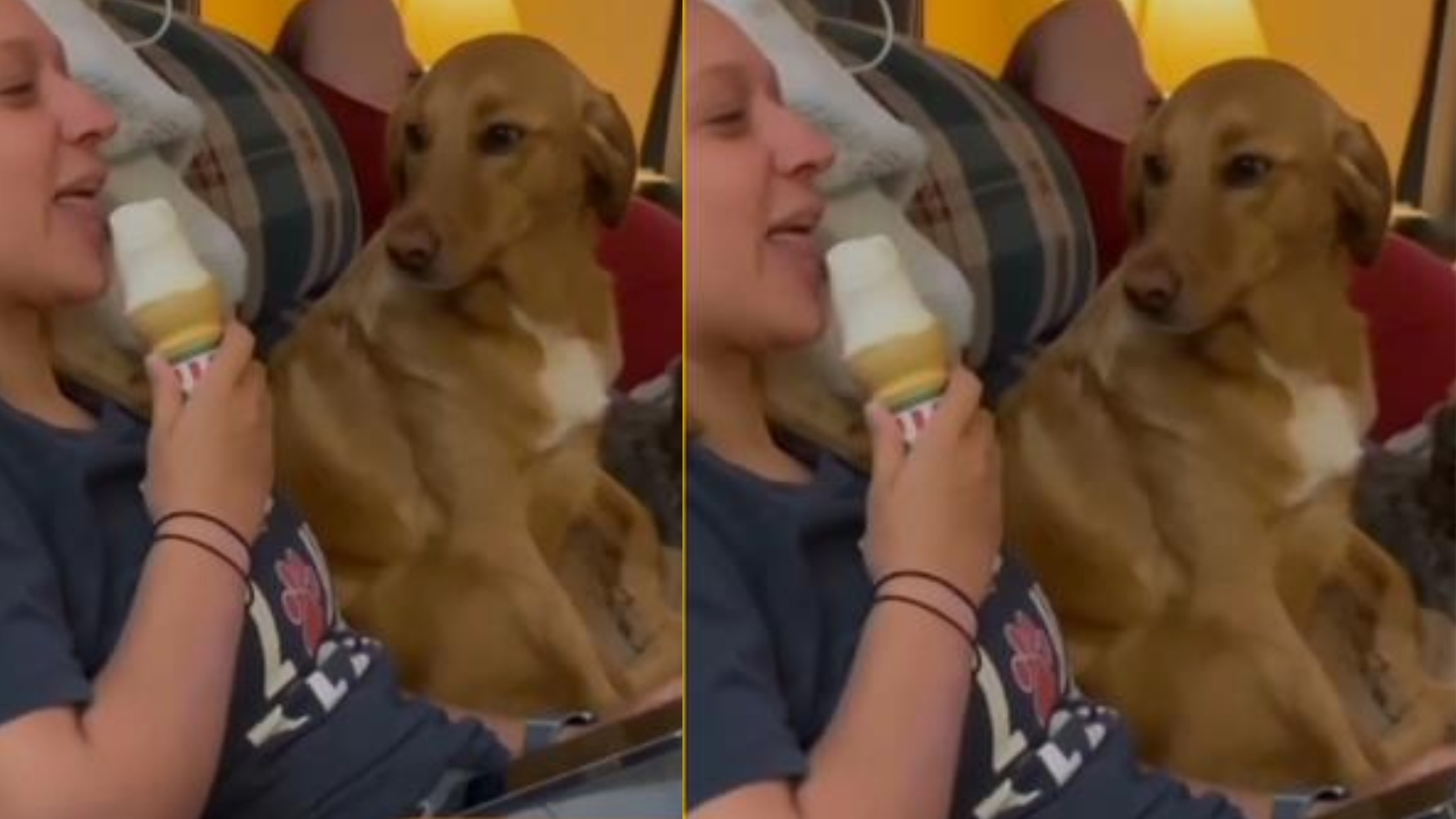 Dog imitates her owner eating ice cream