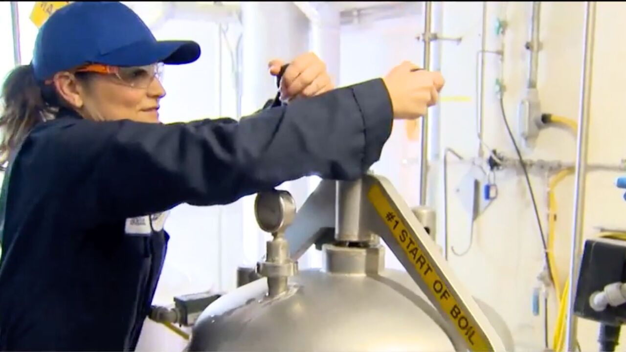 Here’s what really goes on behind the scenes at a brewery