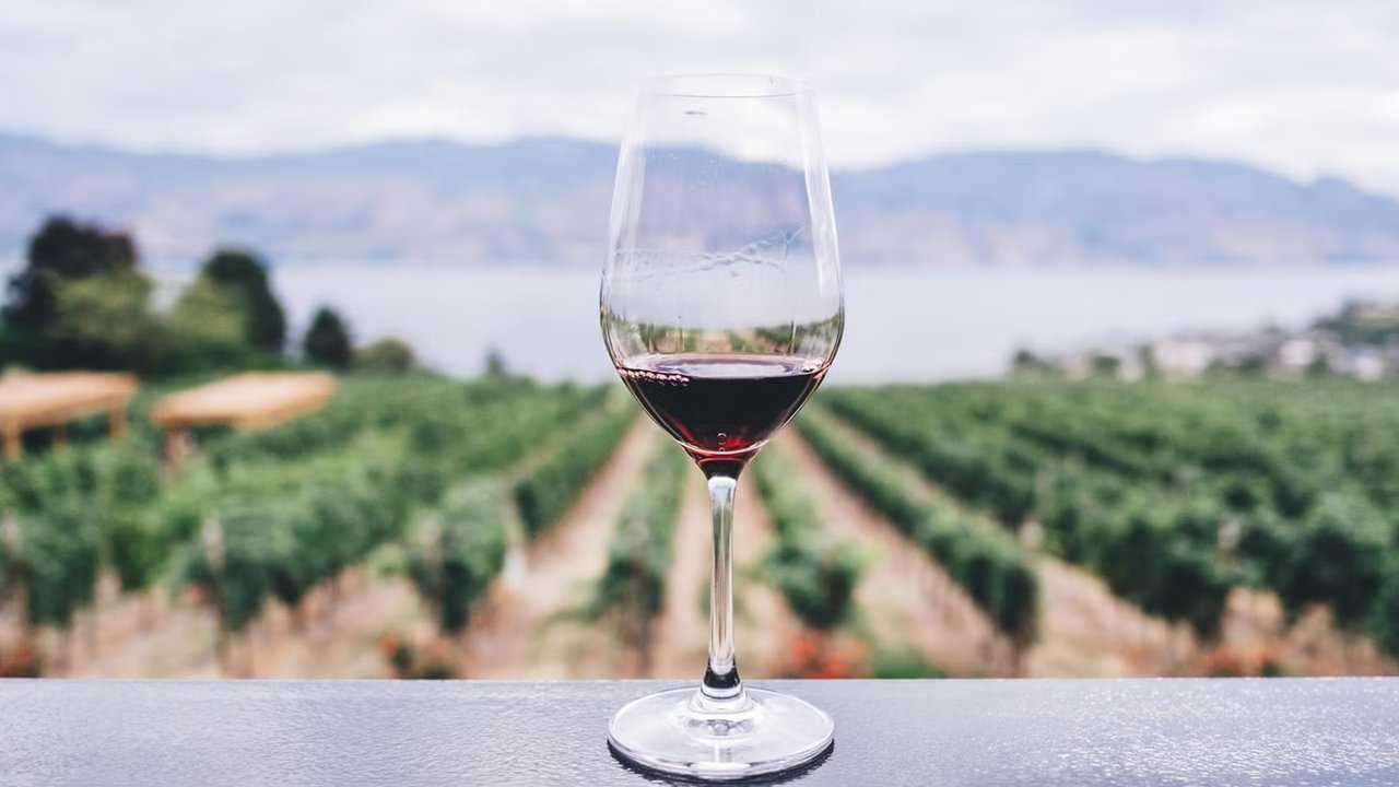 Your pressing wine questions answered!