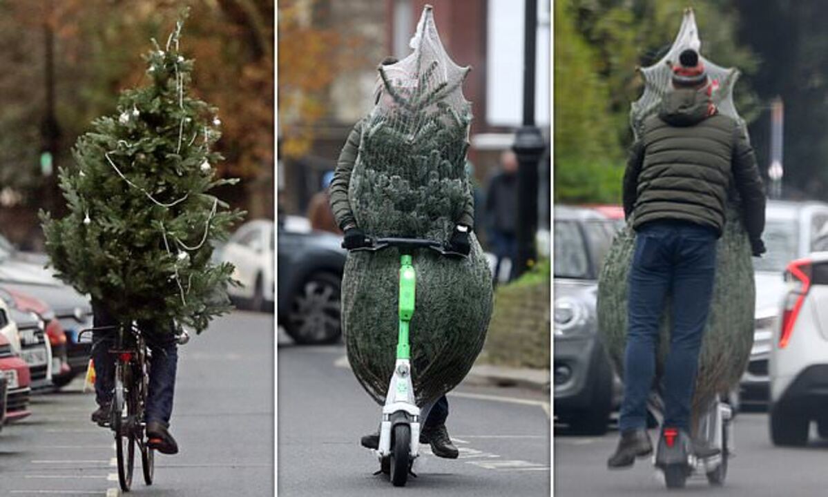 This dad got the Christmas tree home with some seriously creative thinking