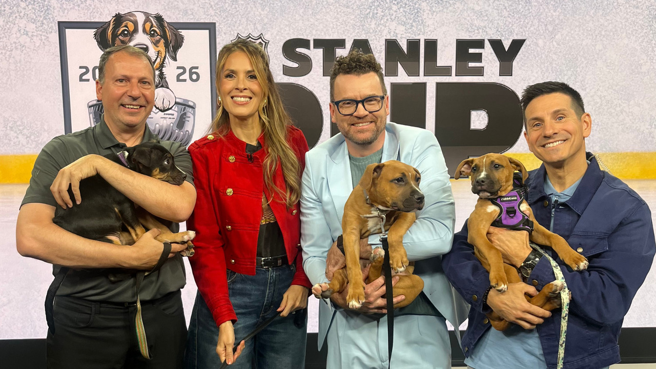 Furry friends return to Sportsnet for the annual 'Stanley Pup'
