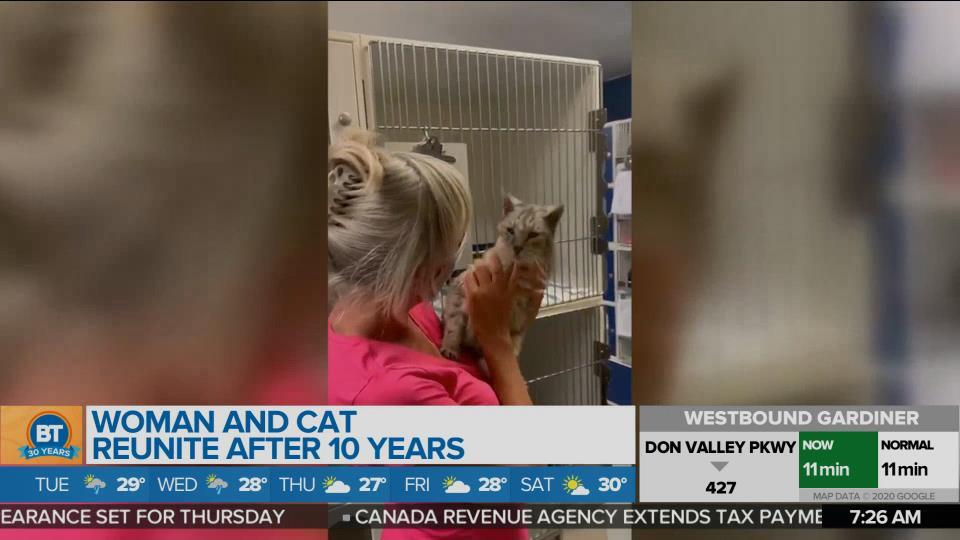 BT Bright Spot: Woman and cat reunite after 10 years