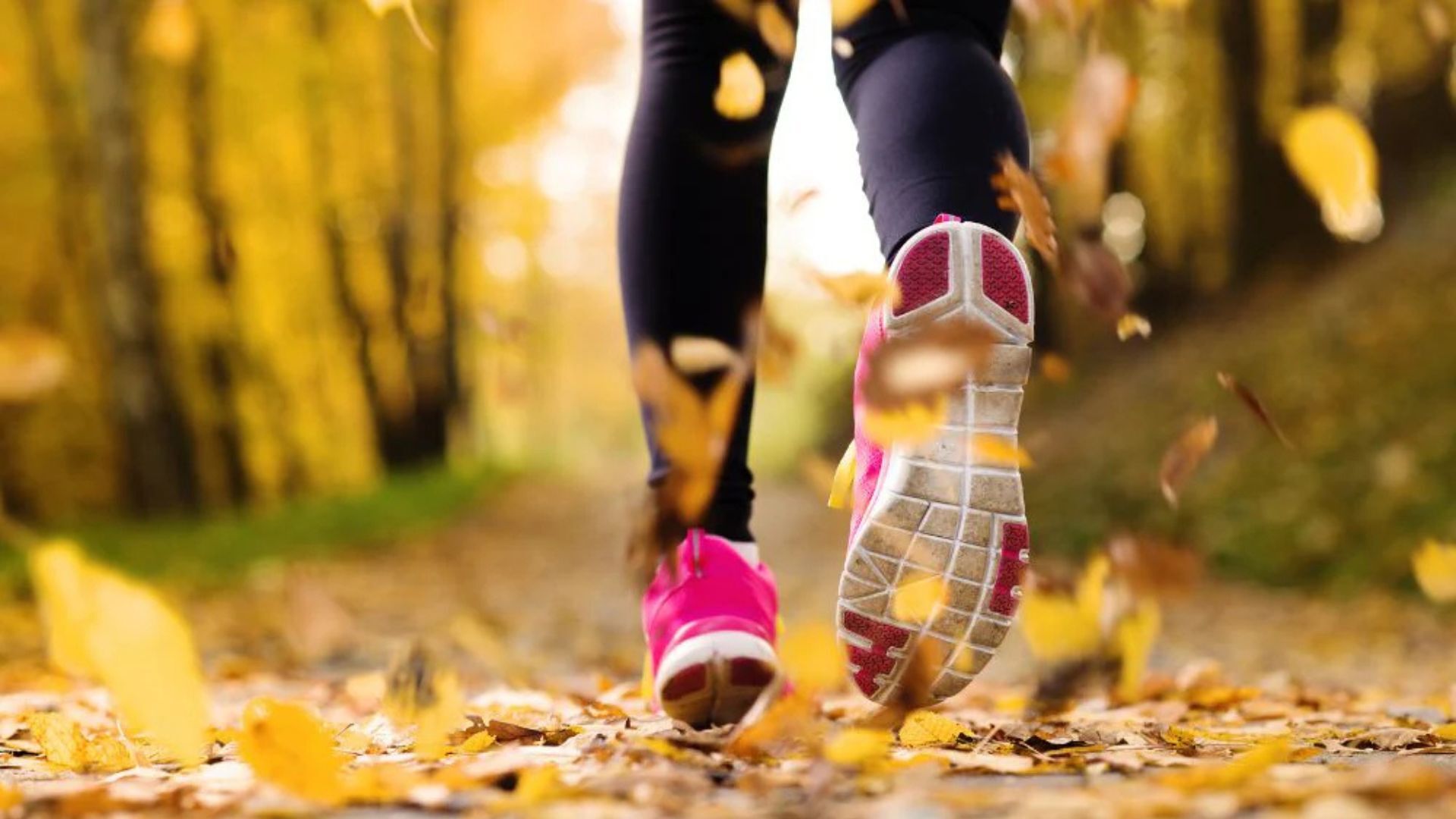 The fall health trends you should be incorporating into your routine – Breakfast Television