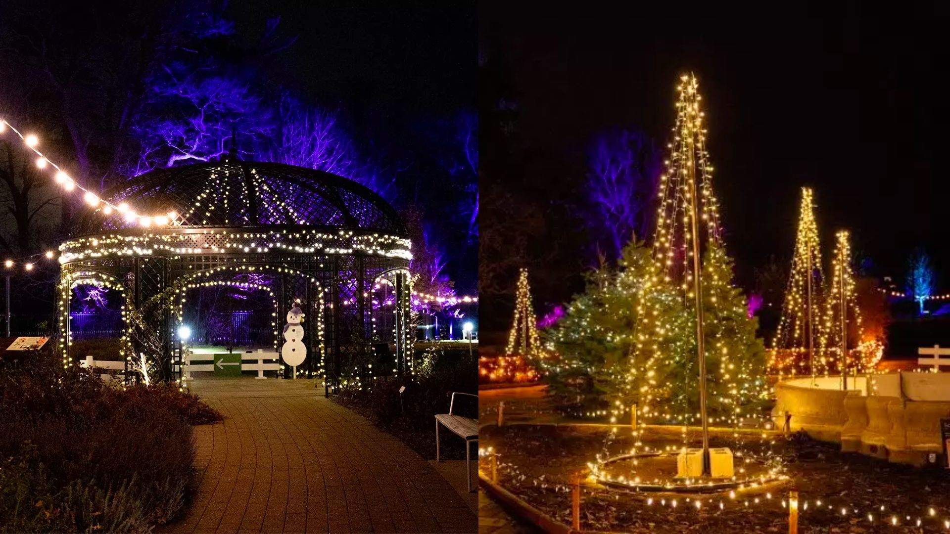 Experience the magic of Christmas at the Royal Botanical Gardens