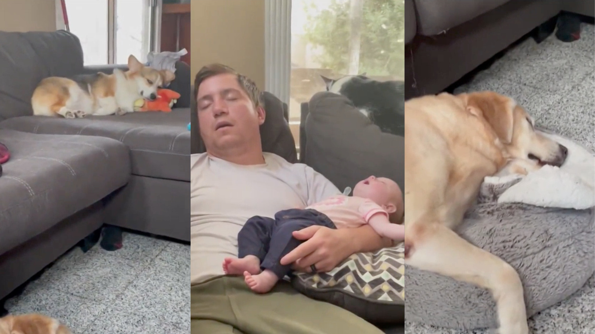 This family was certainly in need of a snooze