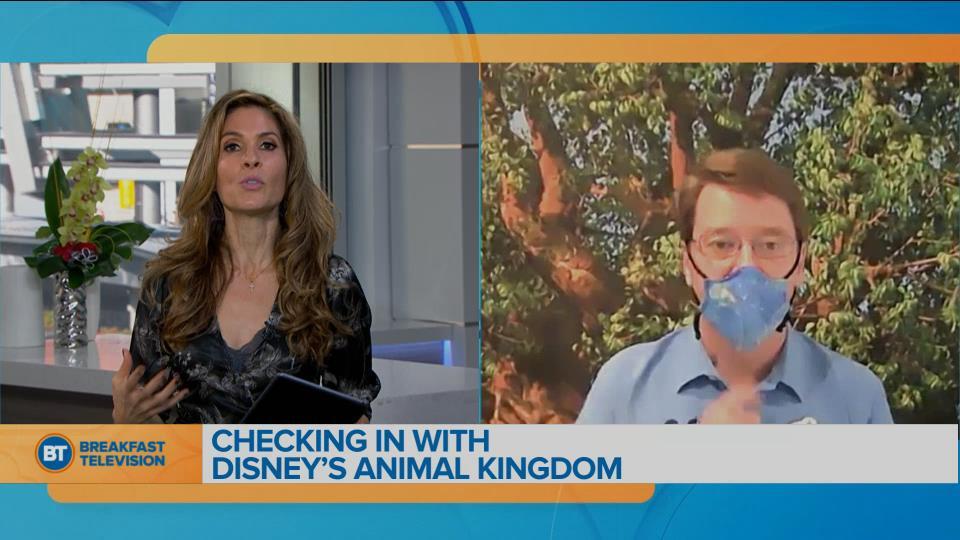 Dr. Mark Penning talks about new series ‘Magic of Disney’s Animal Kingdom’