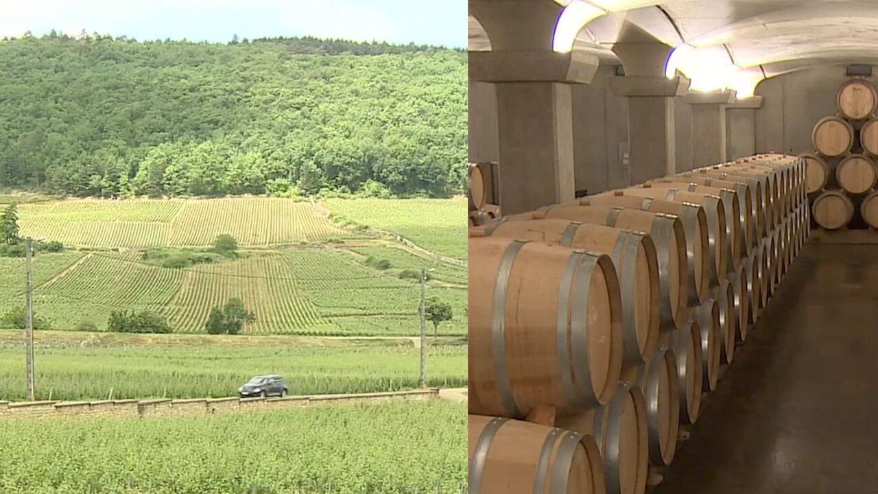 The best wine countries for 2025 have been reveled (and you'll never guess #1)