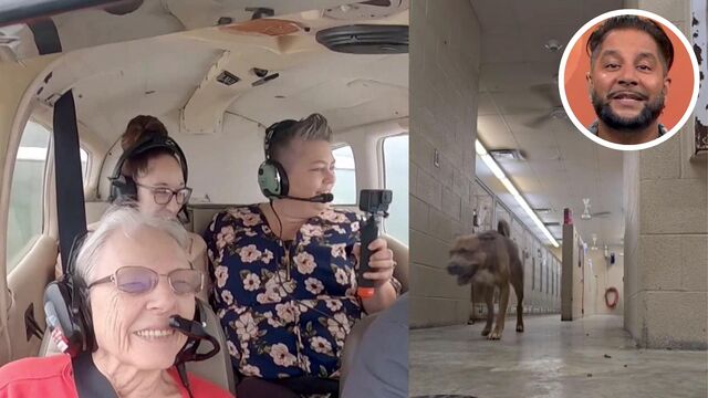 WATCH: This adrenaline-seeking 87-year-old takes flight for the first time