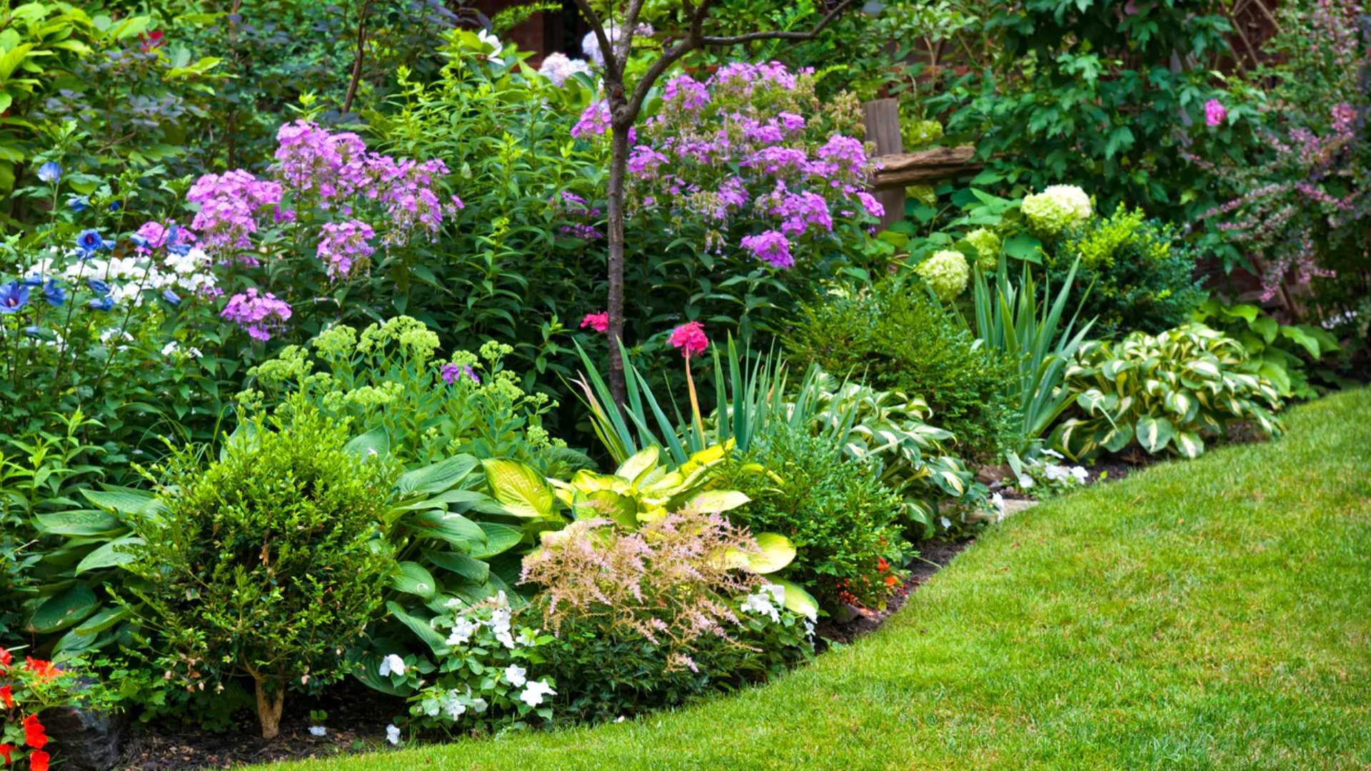 Frankie Flowers' must-do's to prep your garden for spring