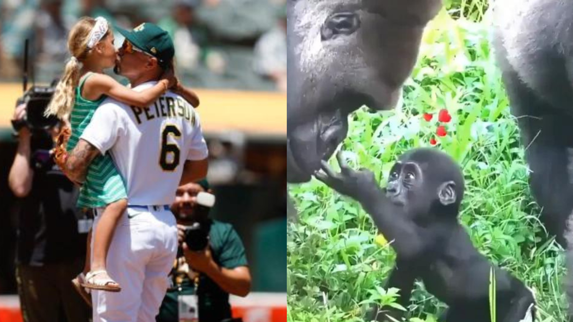 These viral dad videos will brighten your day