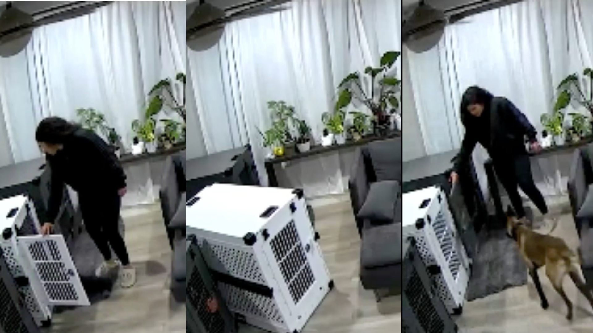 Couple hilariously gets trapped inside of dog crate