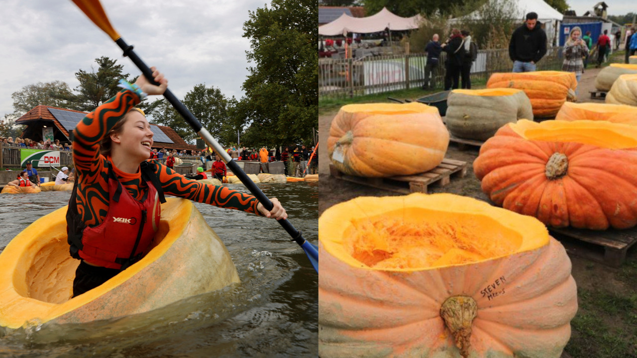 This Belgian tradition consists of a boat race inside (actual) pumpkins