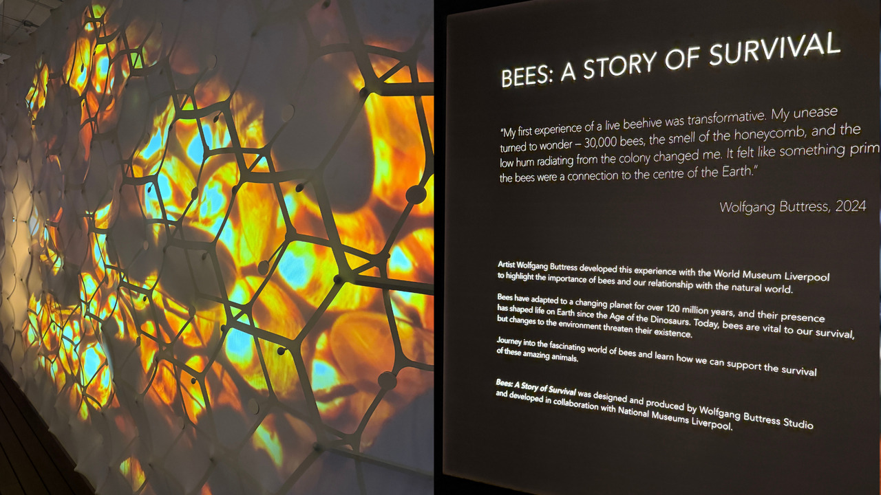 National Pollinator Month: Take a trip to the ROM to learn more about bees