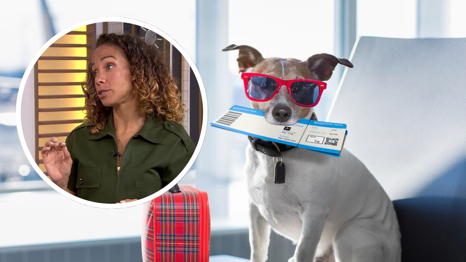 EmBARK on a stress-free journey with your pet — here’s what to know (and pack)
