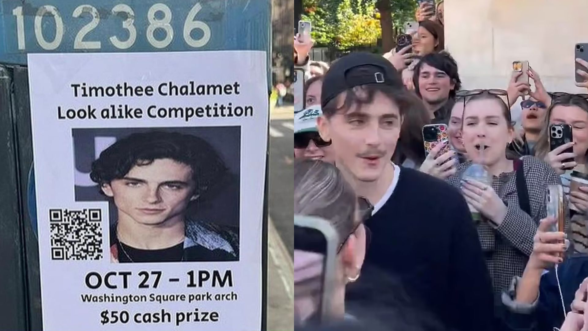 Timothée Chalamet just crashed his own lookalike contest in NYC