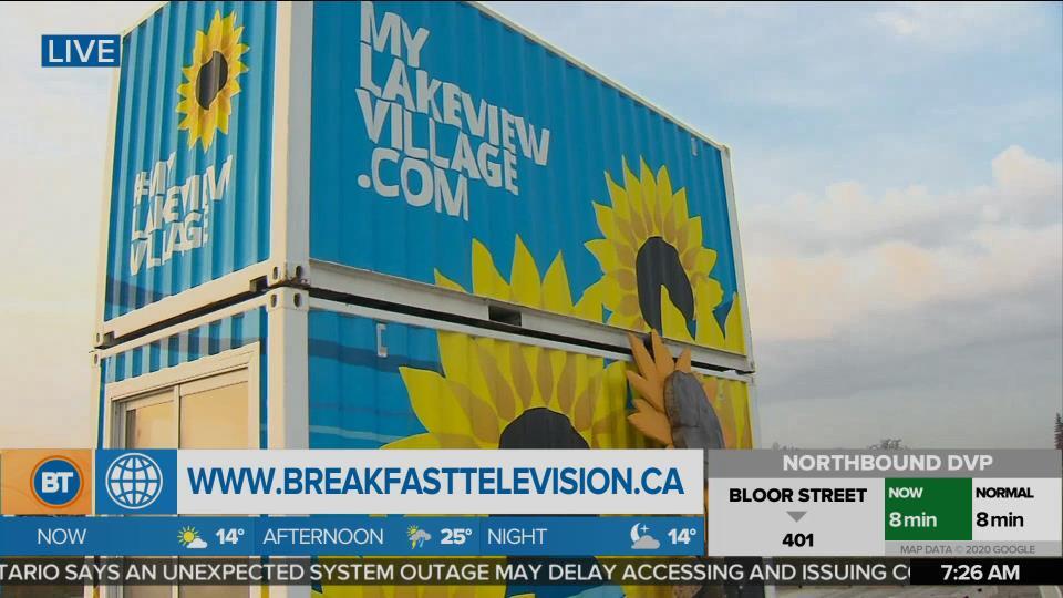 1 million sunflowers have been planted at Lakeview Village Site in Mississauga