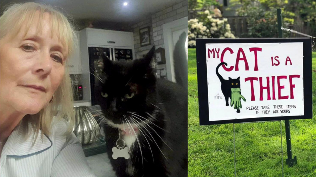 This cat from the UK is known to steal from her neighbours