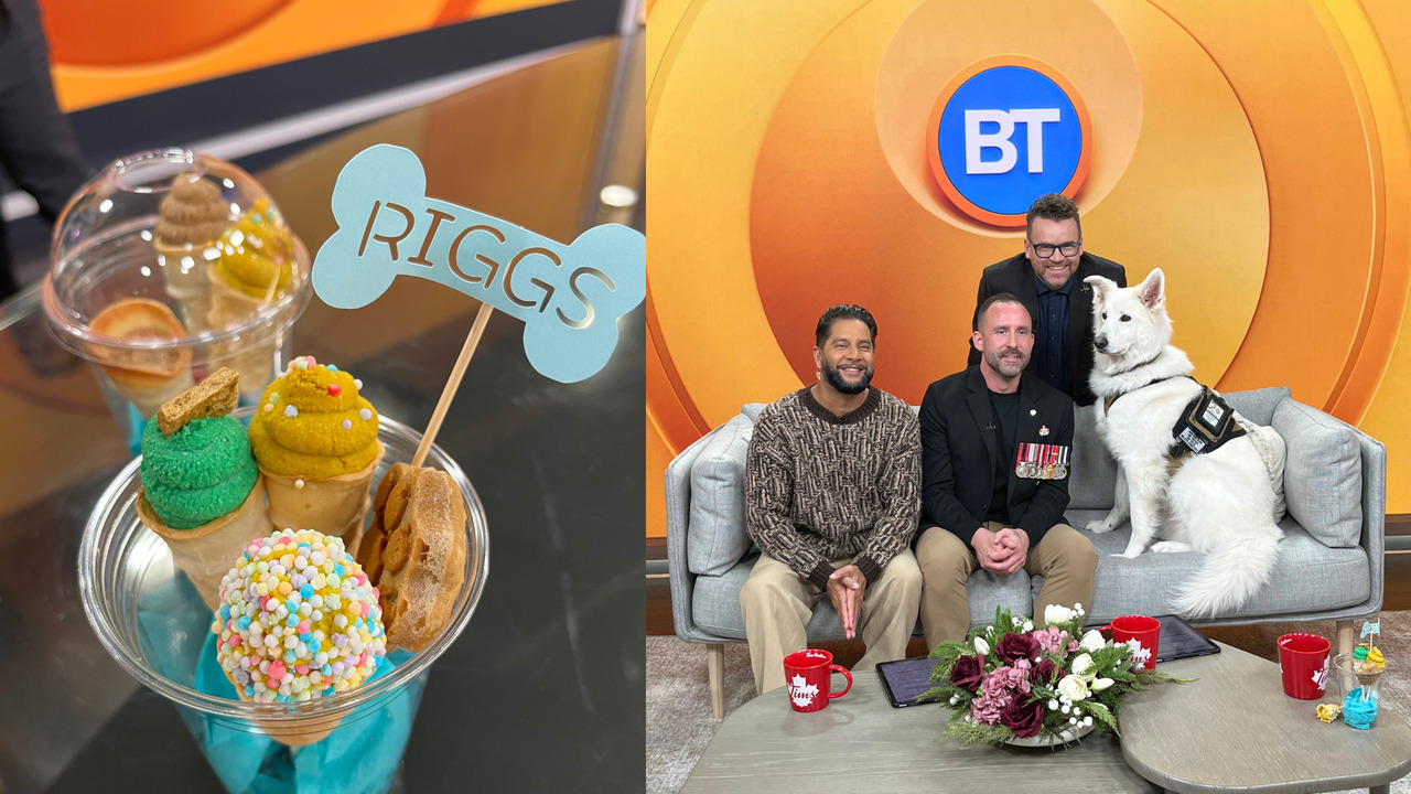 Meet Riggs, a retiring service dog with 8 years of service