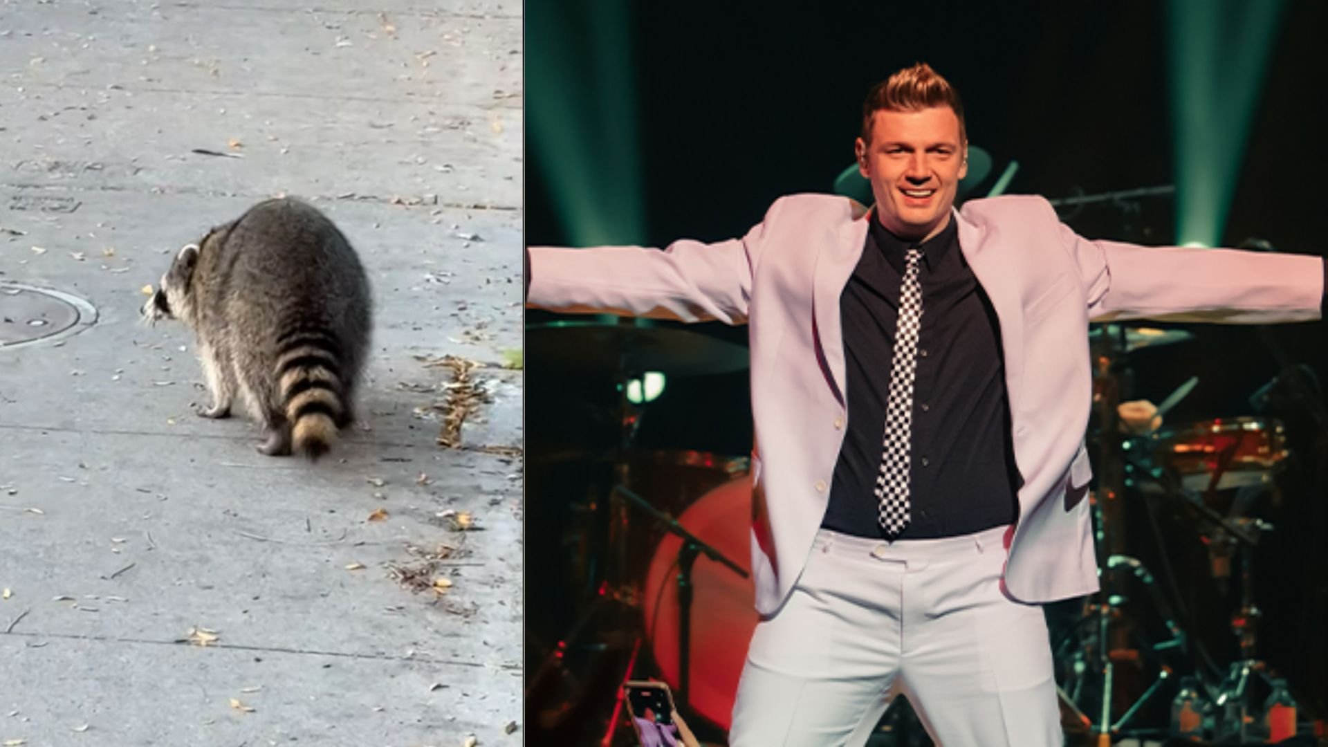 Nick Carter just called us to talk about his close raccoon encounter in ...