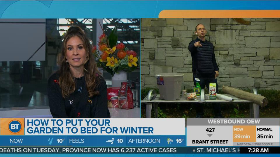 How to put your garden to bed for winter with Frankie Flowers!
