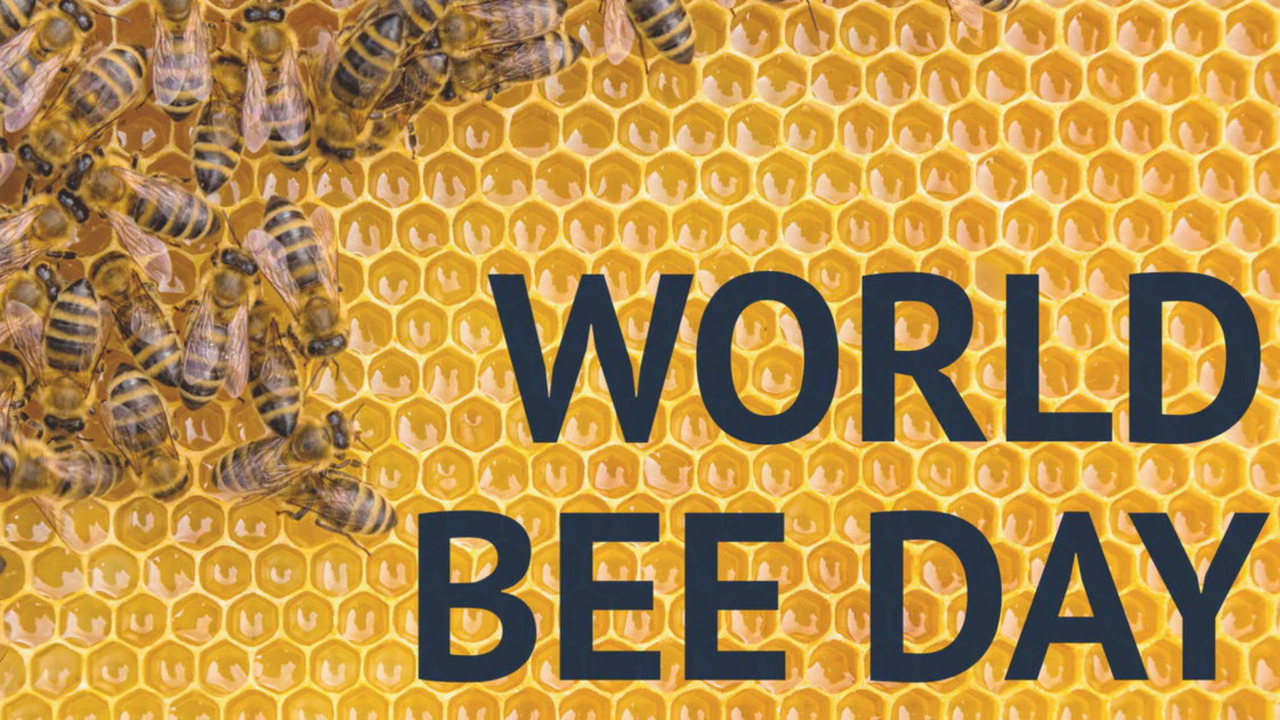 It's World Bee Day!