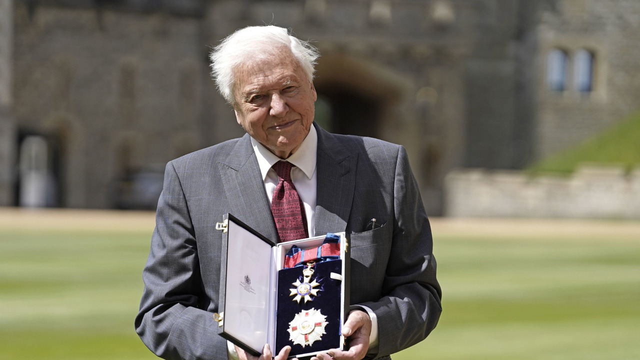 Sir David Attenborough makes history as oldest Daytime Emmy winner