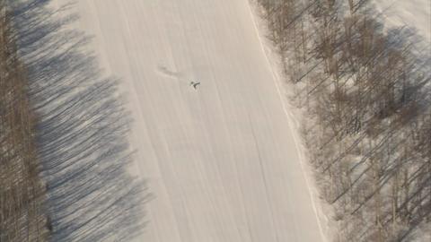 Aerial Shot Skier3