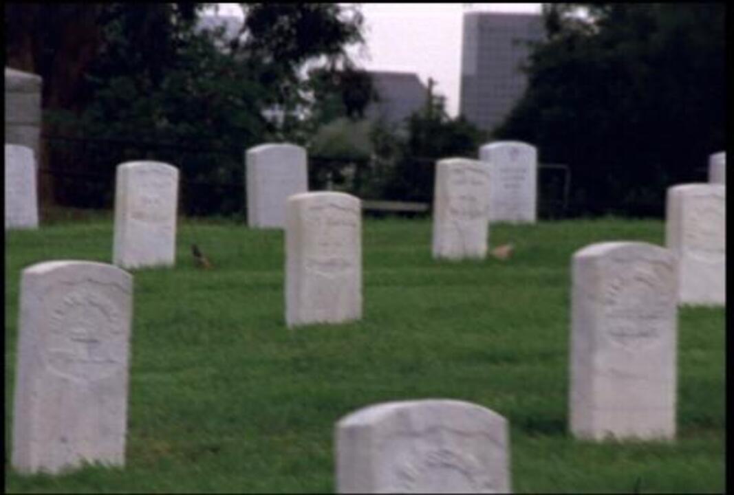 Arlington Cemetery 11