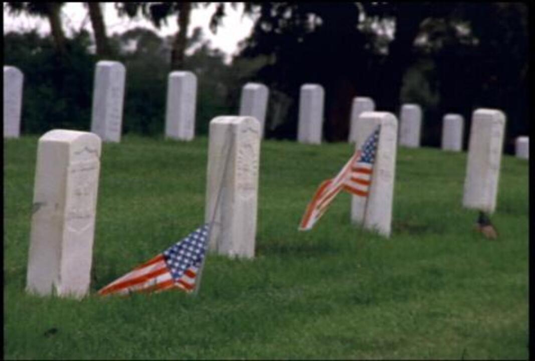 Arlington Cemetery 9